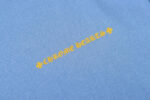 Yellow Horseshoe Light Blue T-Shirt - Image 6